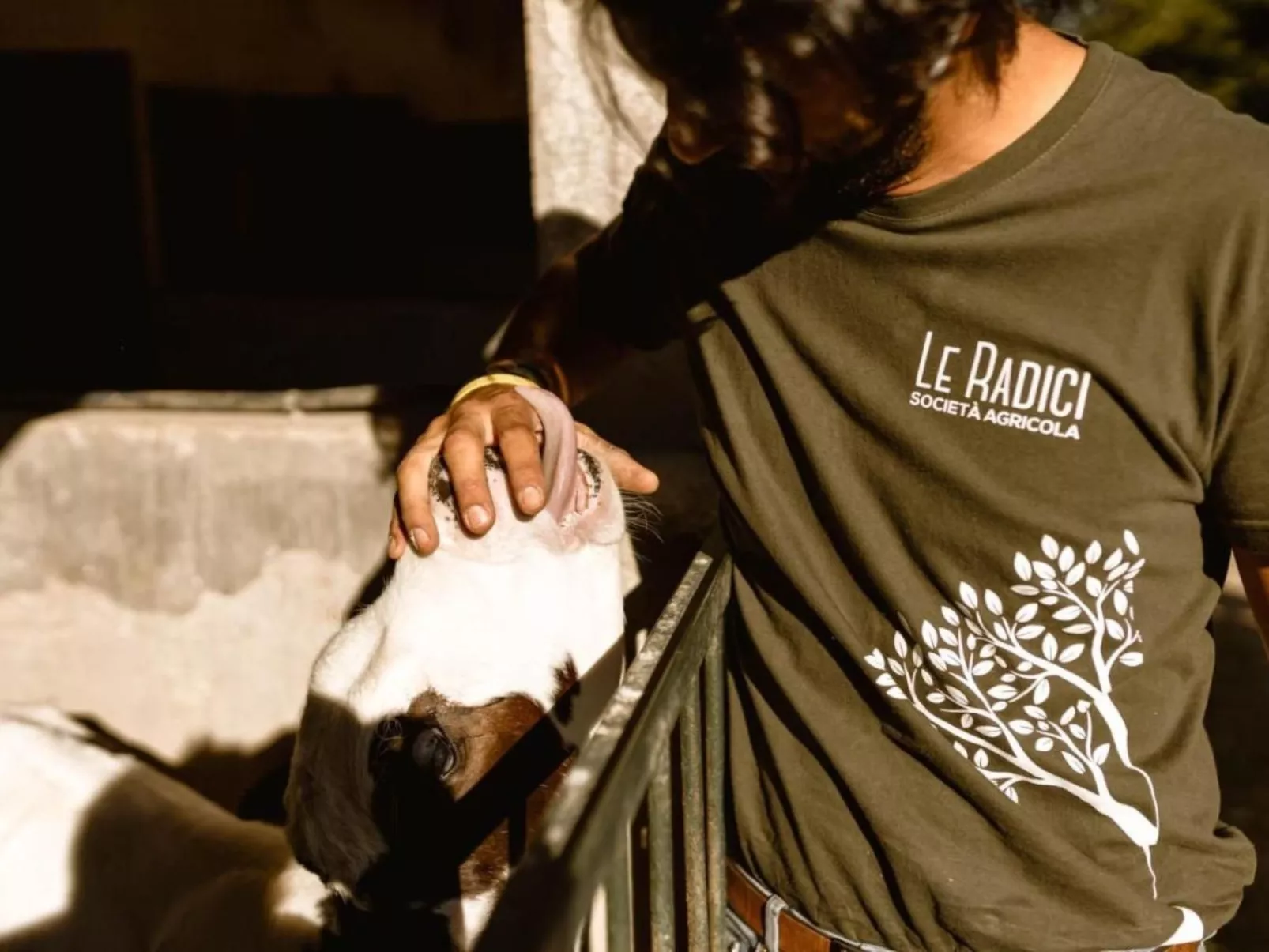 Le Radici - La Cantina - Entspannung im Herzen von Umbrien