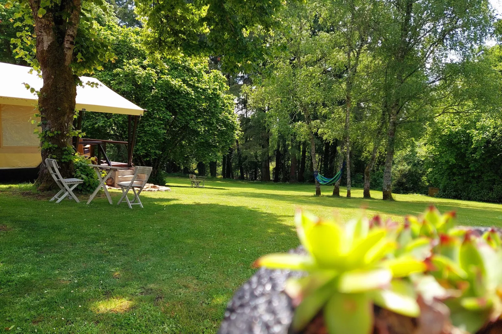 Safaritent Montizon-Exterior summer