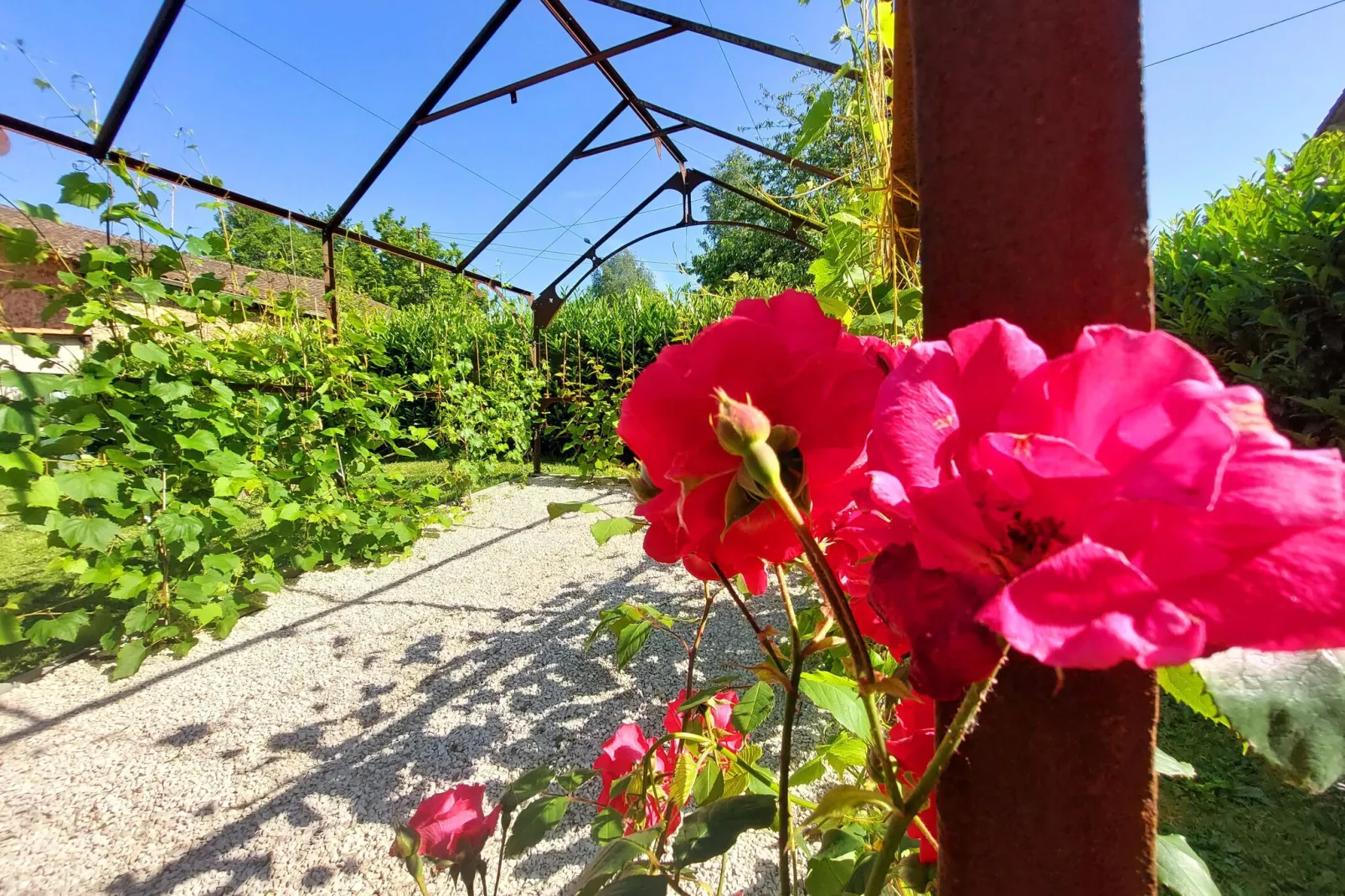 Safaritent Montizon-Gardens summer