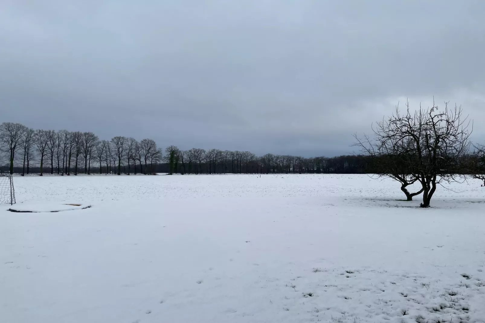 Erve Baak-Area within 1km in winter