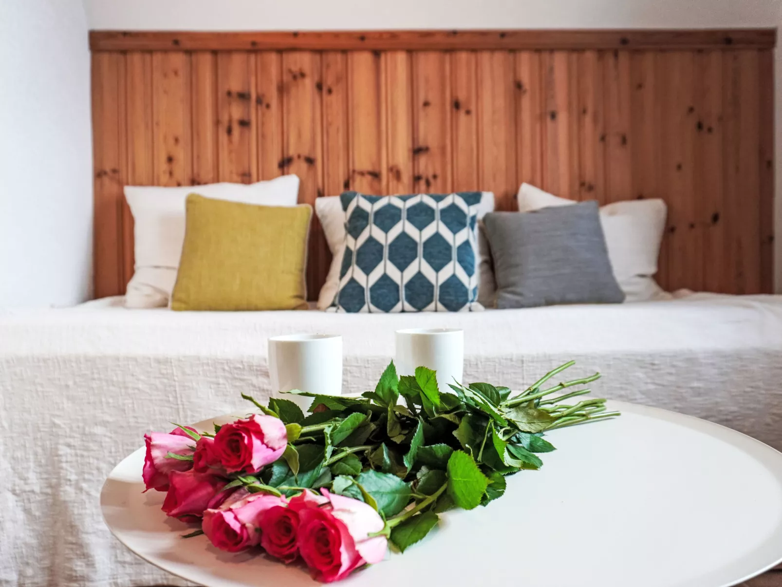 Plan Névé 5 - Inside