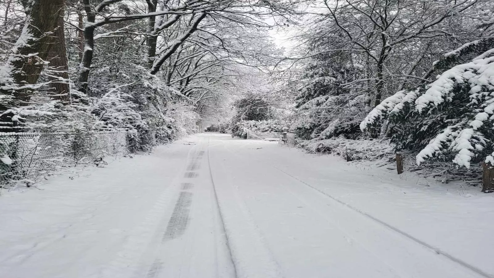 Uilenhof-Area within 1km in winter