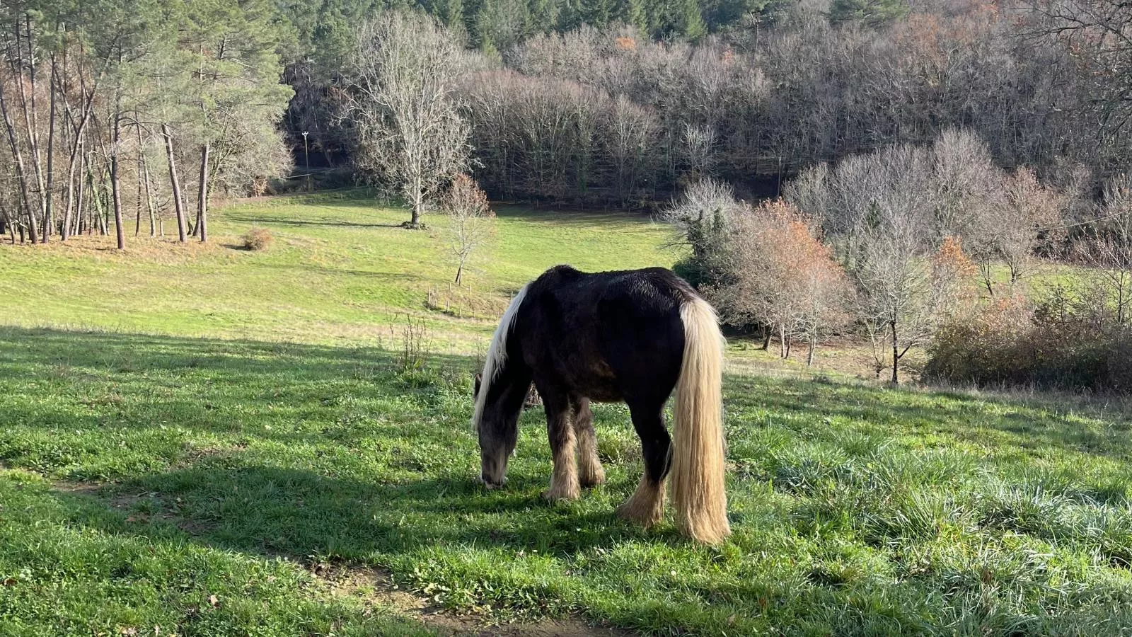 Le Mas dAmour-Aussicht Sommer