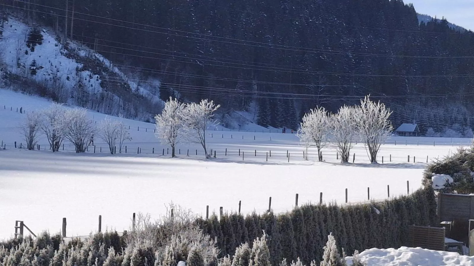 Joss-Gebiet Winter 1 km