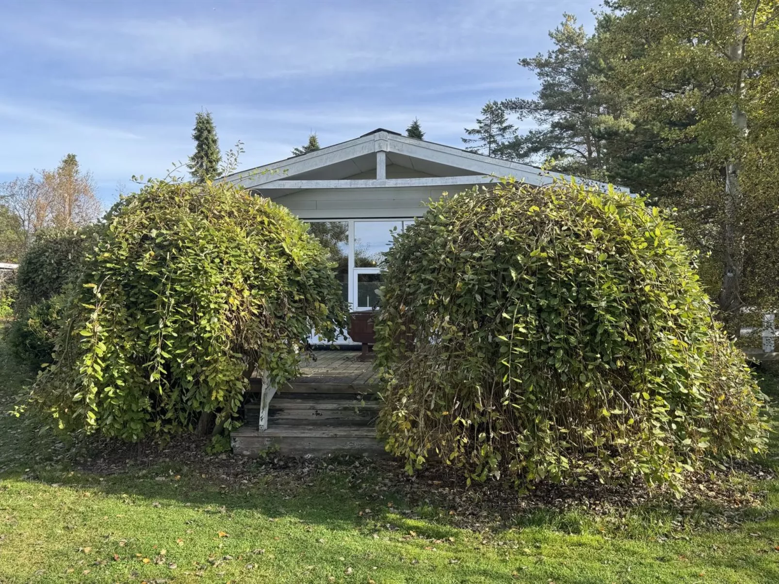 "Felicia" -  from the sea - Draußen