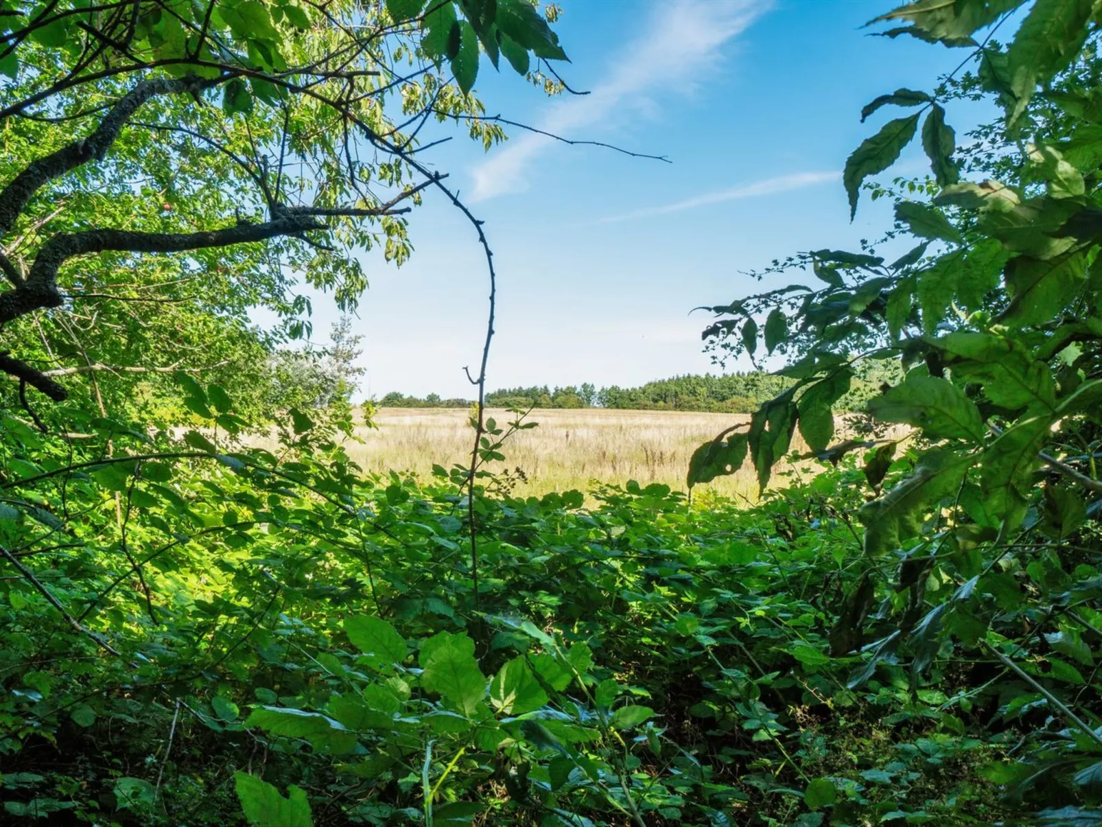 "Tuva" - 3.6km from the sea