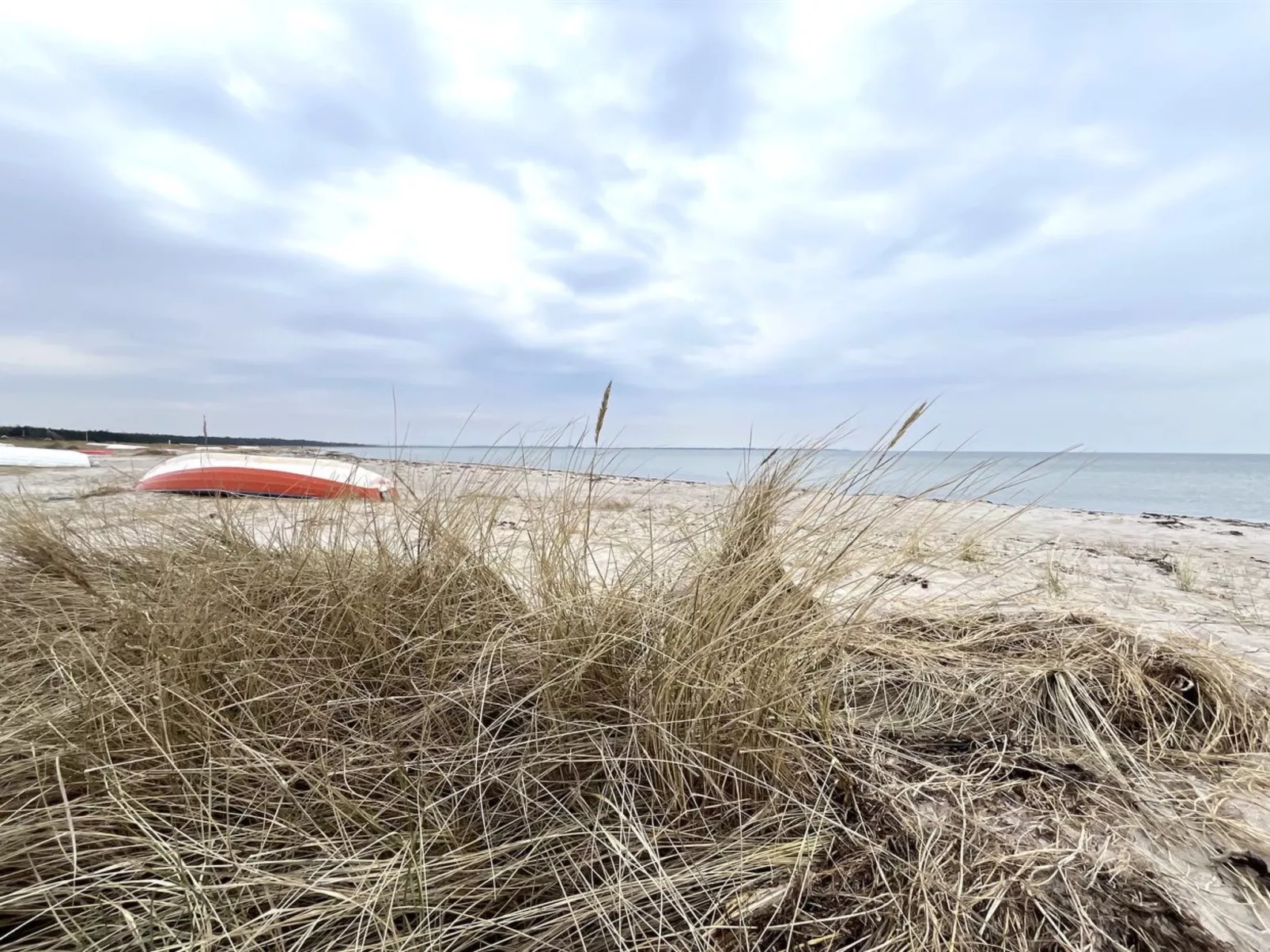 "Ela" - 1.1km from the sea