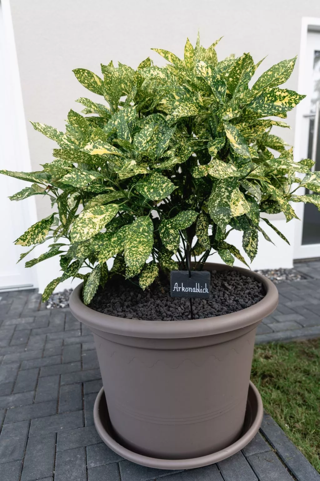 Ostseehaus am Naturstand - Arkonablick