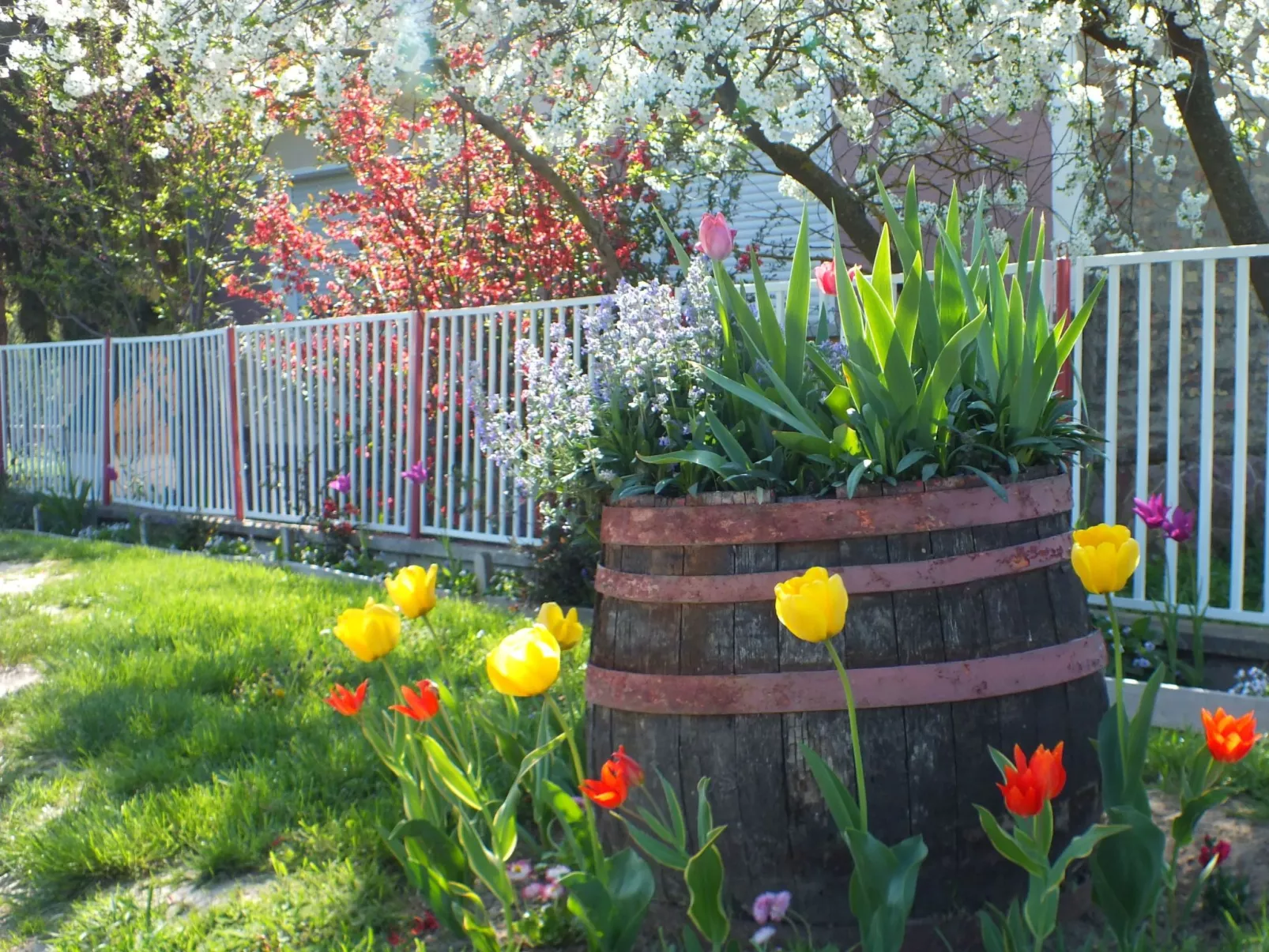 In Döbrököz mit privatem Pool
