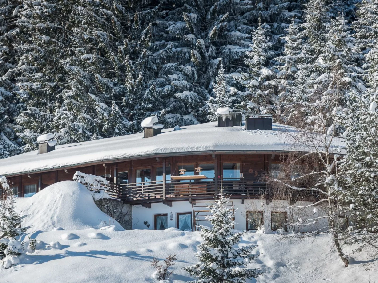 Bärenkopf supreme Studio 4