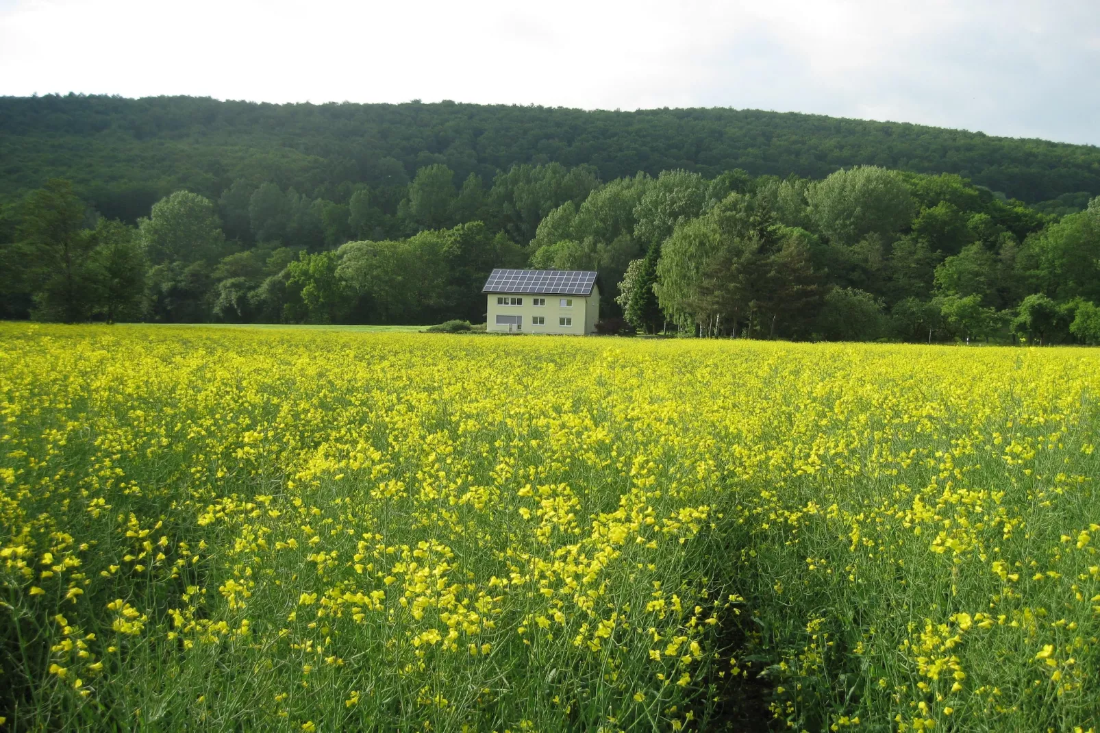 Gästehaus Kühne Fewo 1 OG