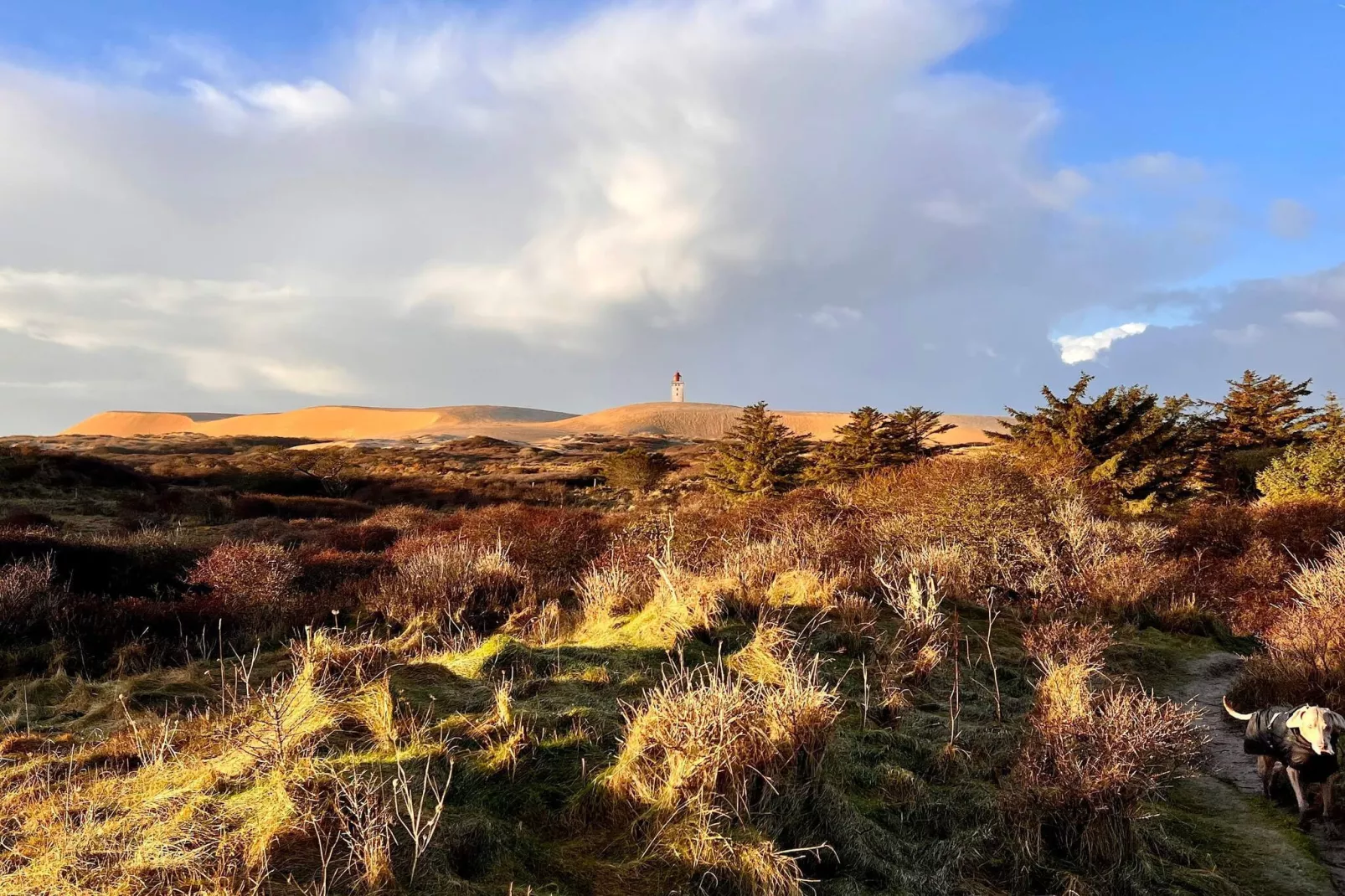 6 person holiday home in Hjørring-Untagged