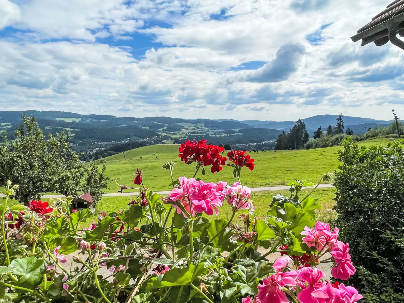 Mühlenmichelshäusle-Outside