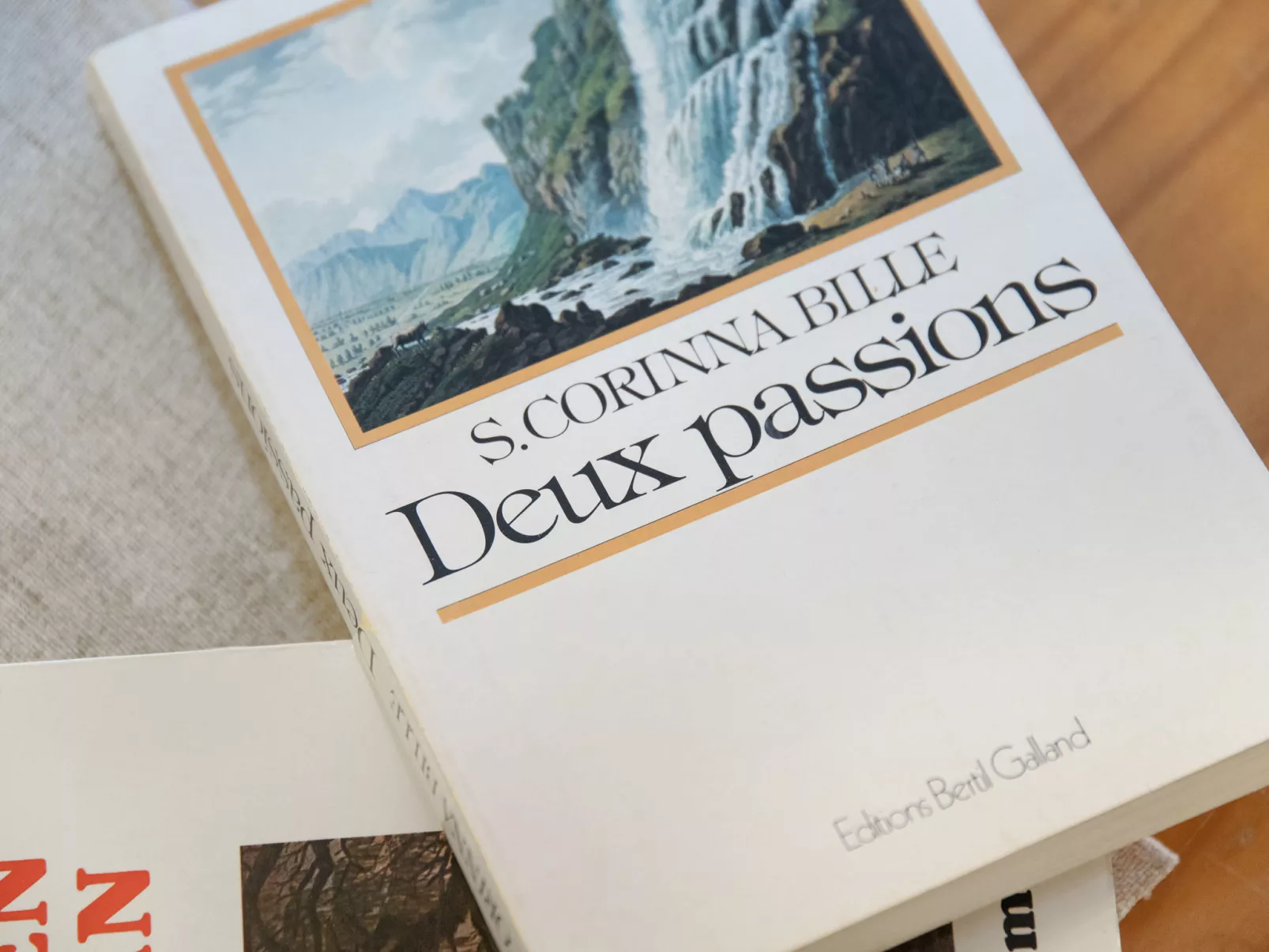 Centaure B RS 2-Dedans