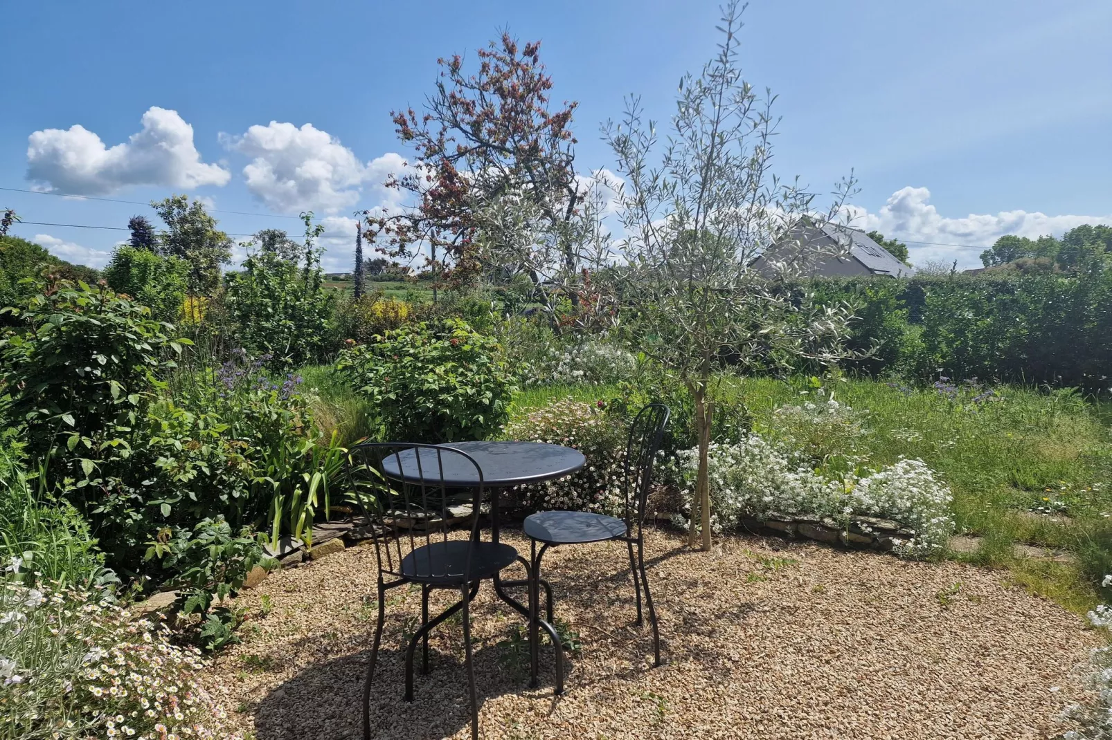 Holiday home with terrace and garden in Locquirec-Gardens summer
