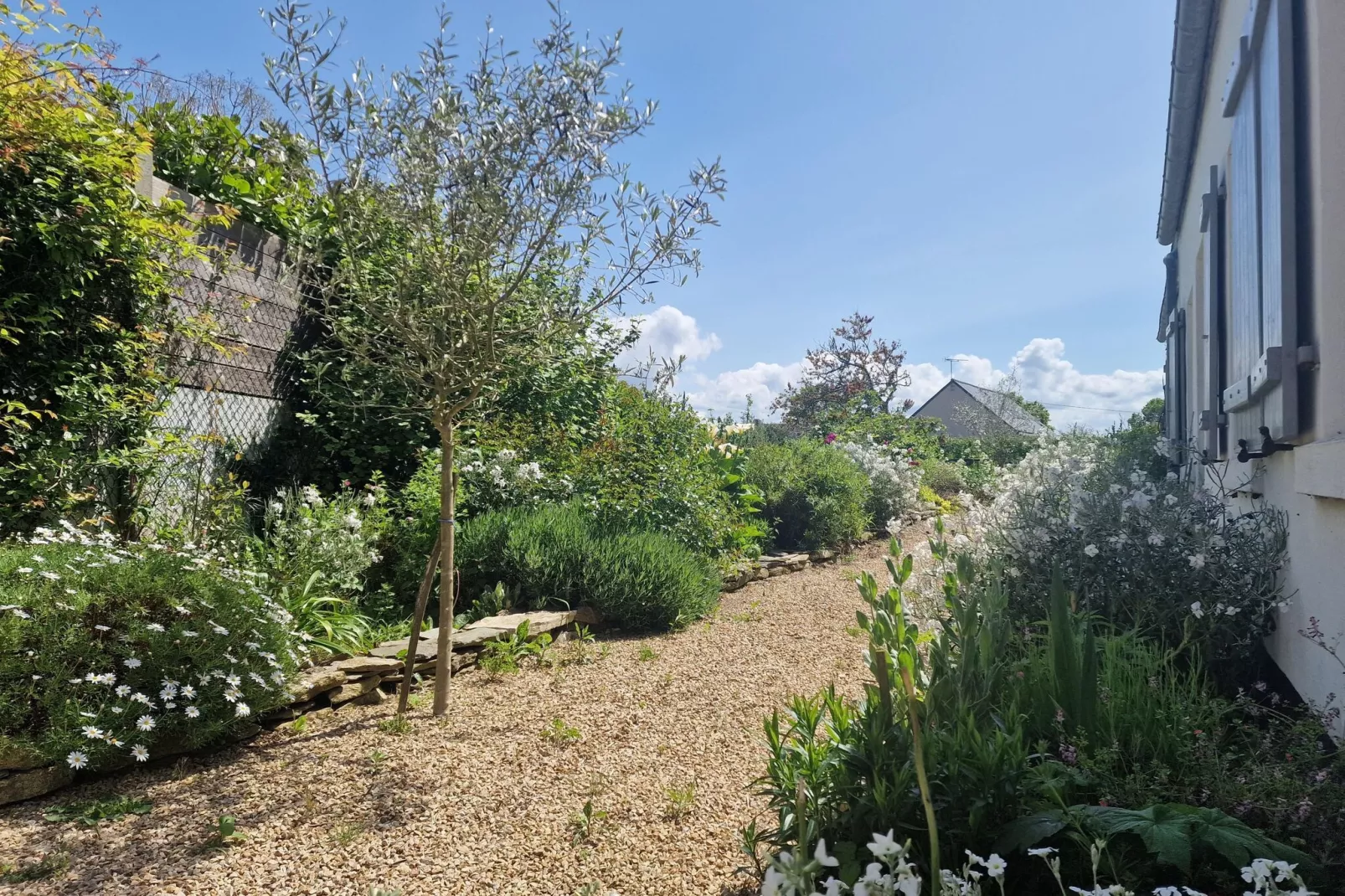 Holiday home with terrace and garden in Locquirec-Exterior summer