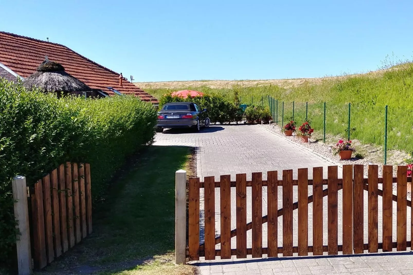 112041-Gardens in summer