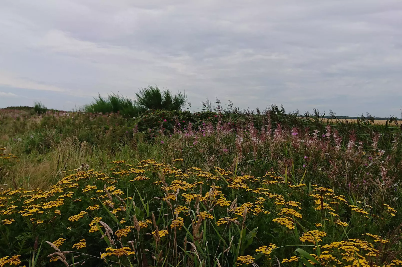 8 person holiday home in Skjern-By Traum - Untagged