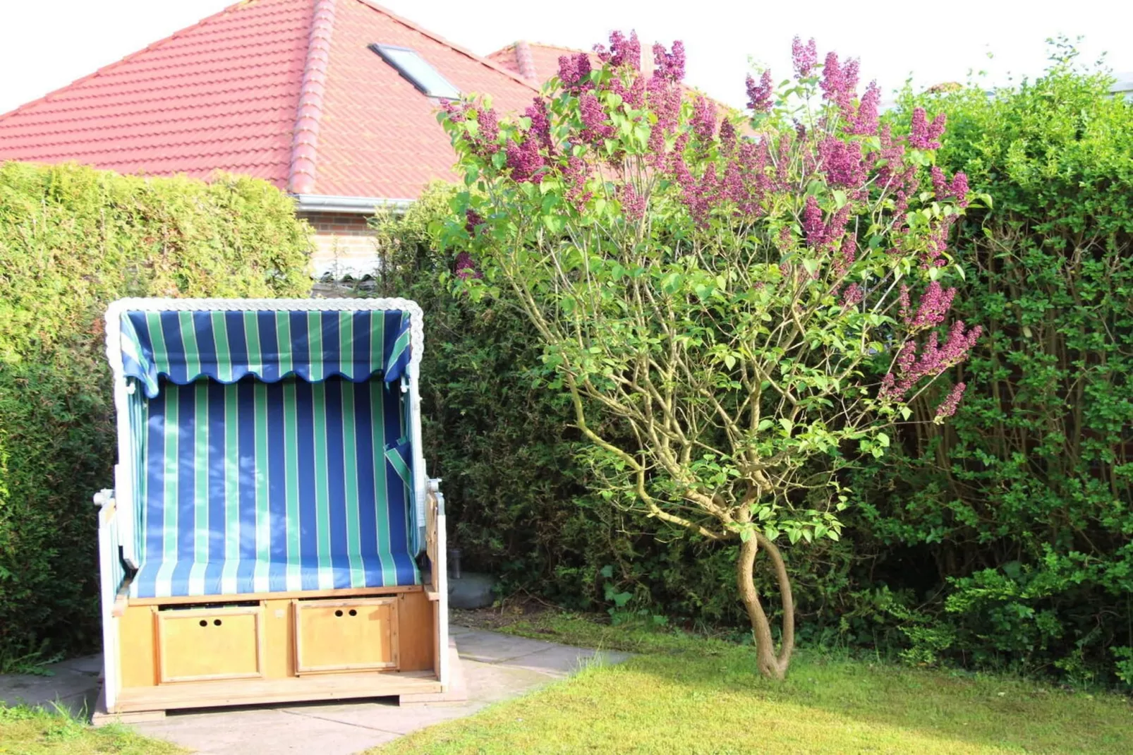 319172-Terrace balcony