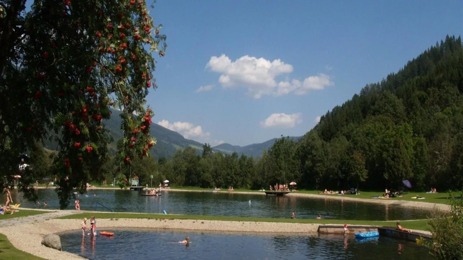 De Berghut - Areas within 1km in summer