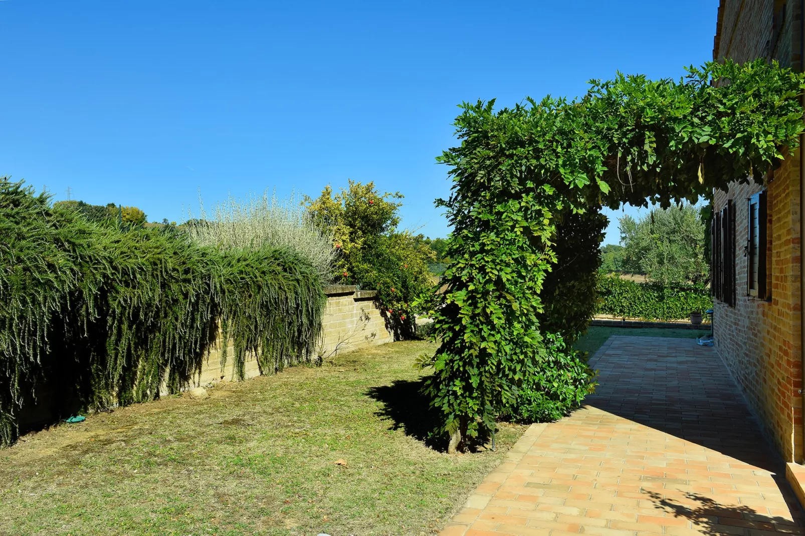 Villa Poggio San Giacomo-Gardens in summer