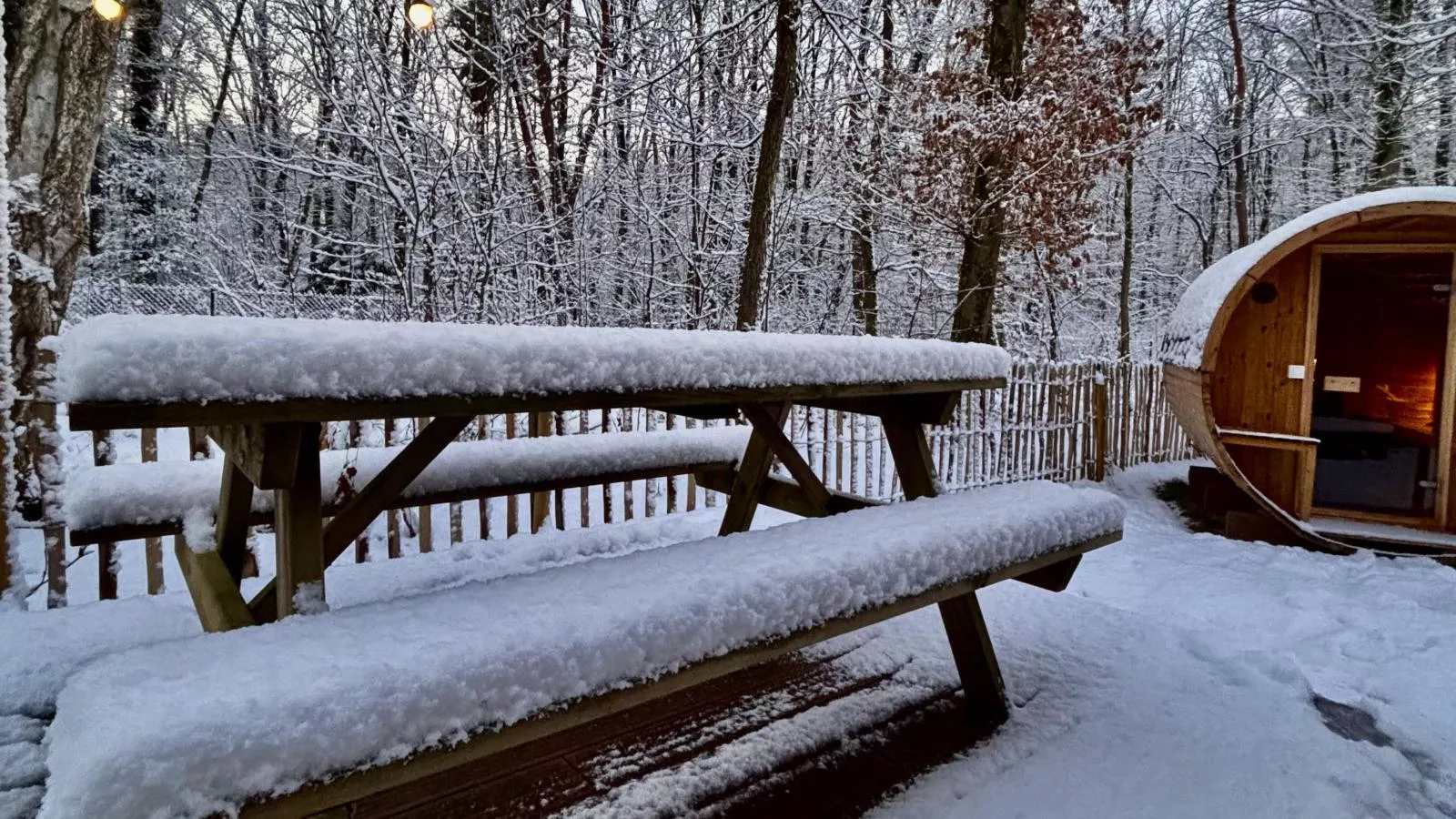 Cabin 22-Garden in winter