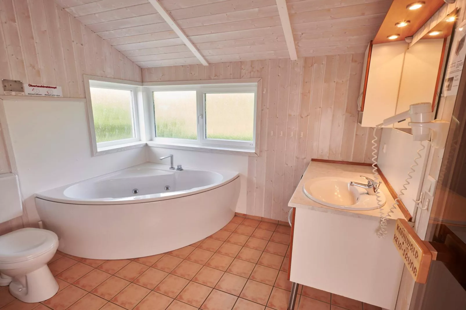 4 star holiday home in FRIEDRICHKOOG-Spa