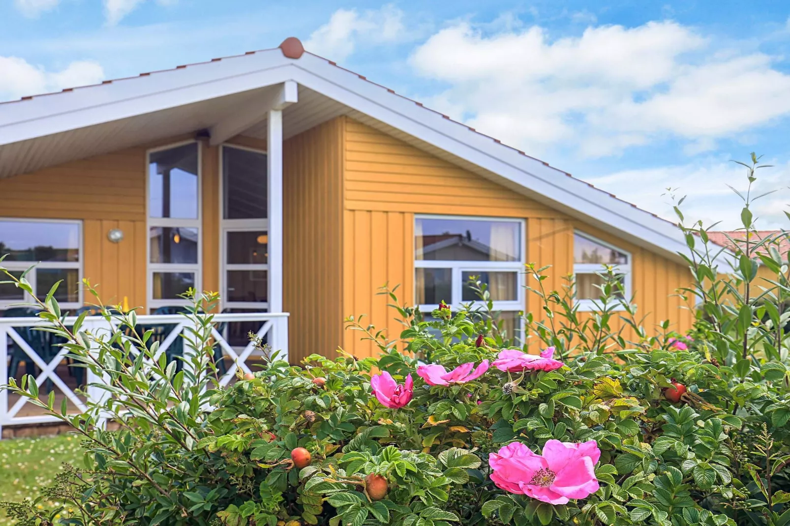 4 star holiday home in FRIEDRICHKOOG-Outdoor