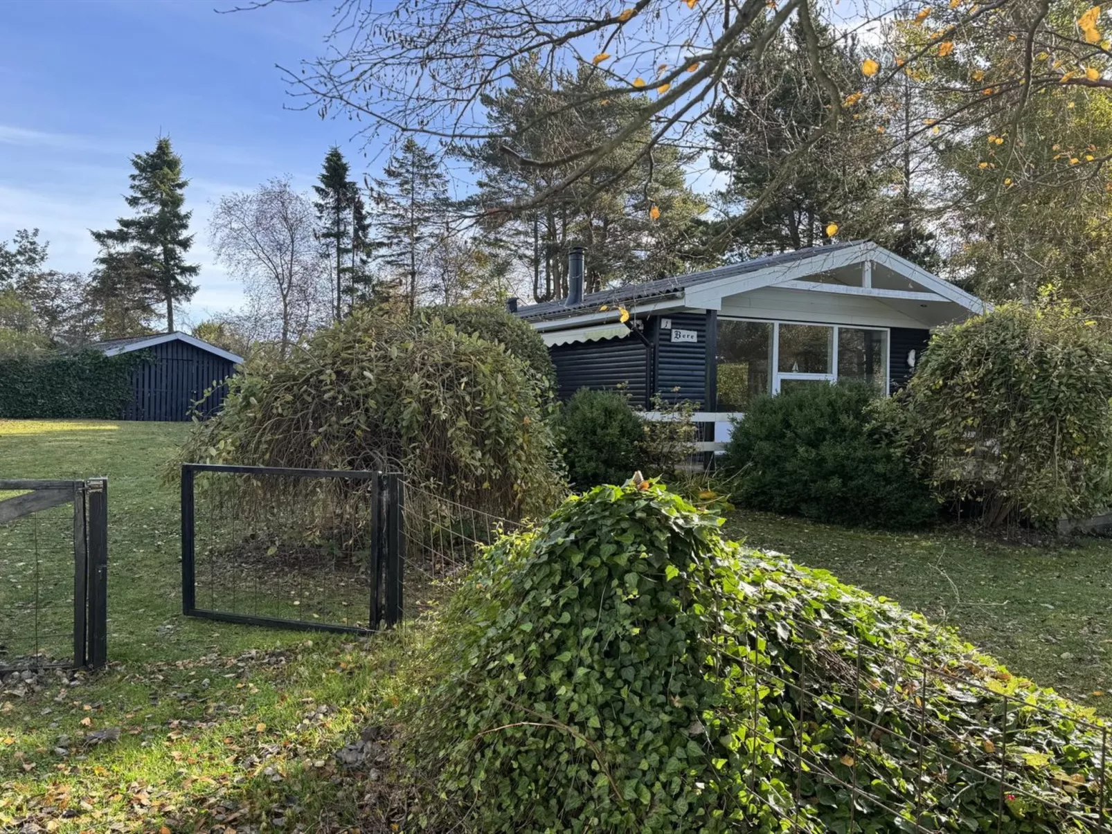 "Felicia" -  from the sea - Draußen