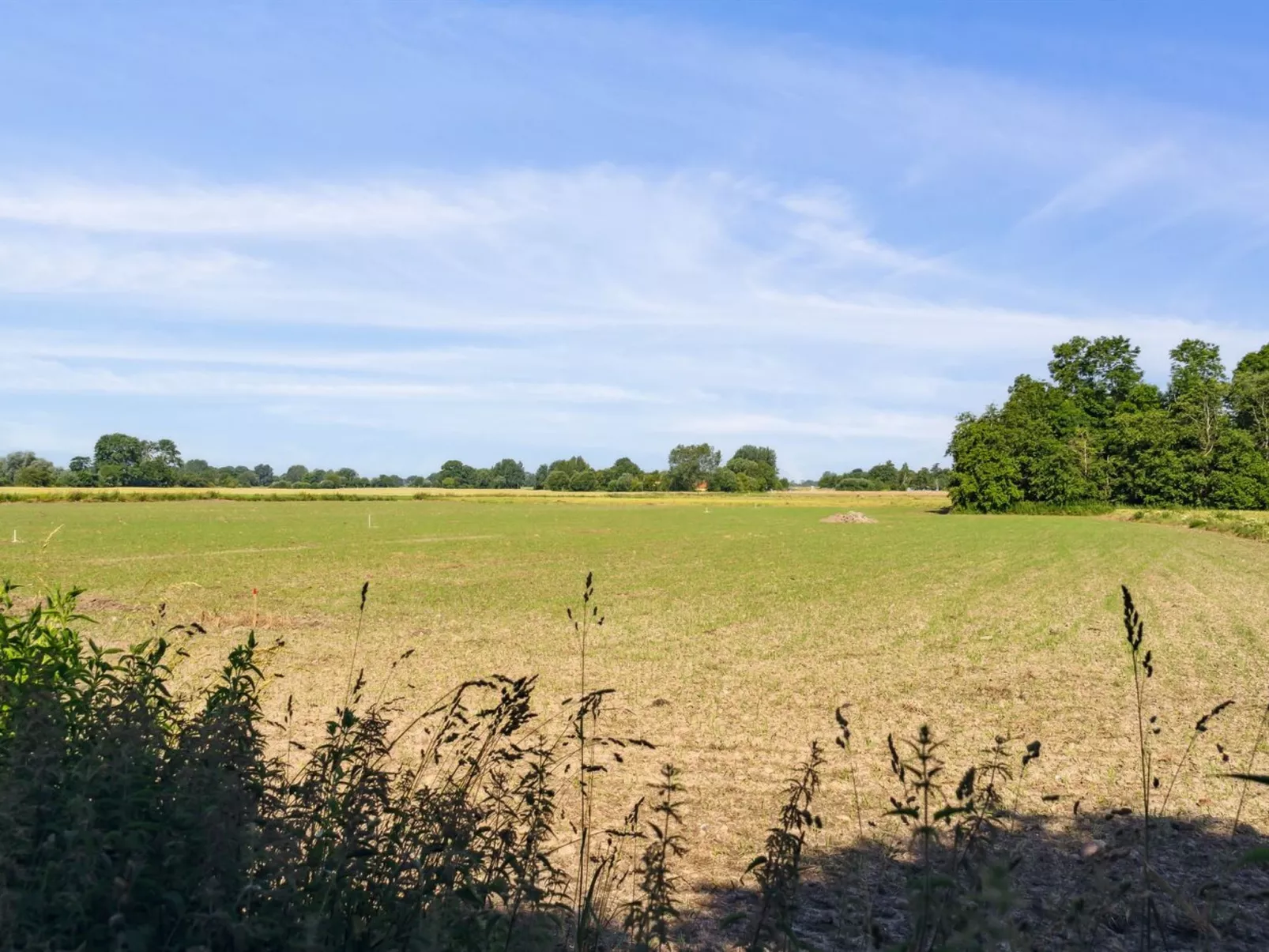 "Roald" - 320m from the sea-Draußen