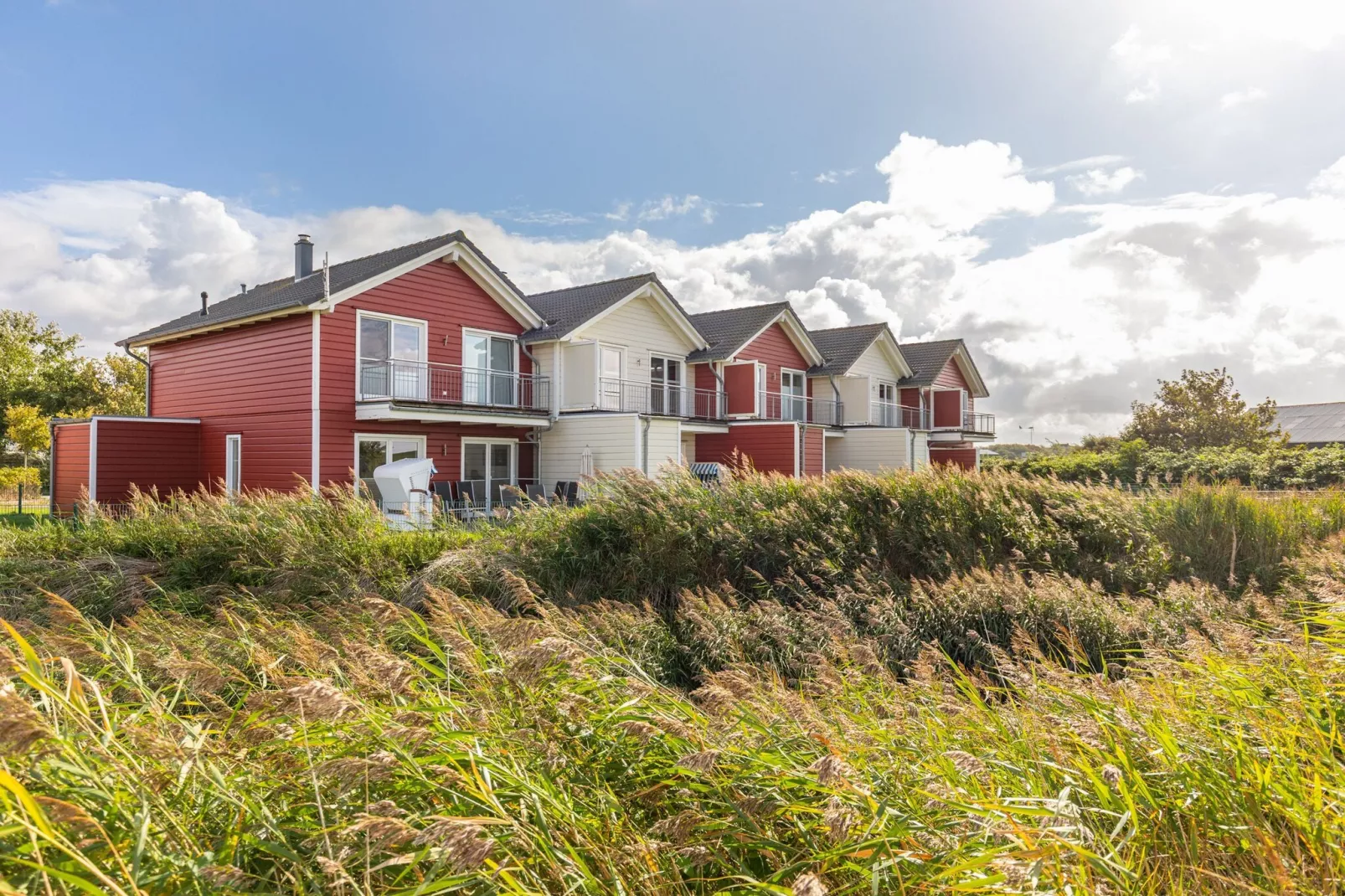 Reihenhaus in Dagebüll - Schimmelreiter-Exterior in summer