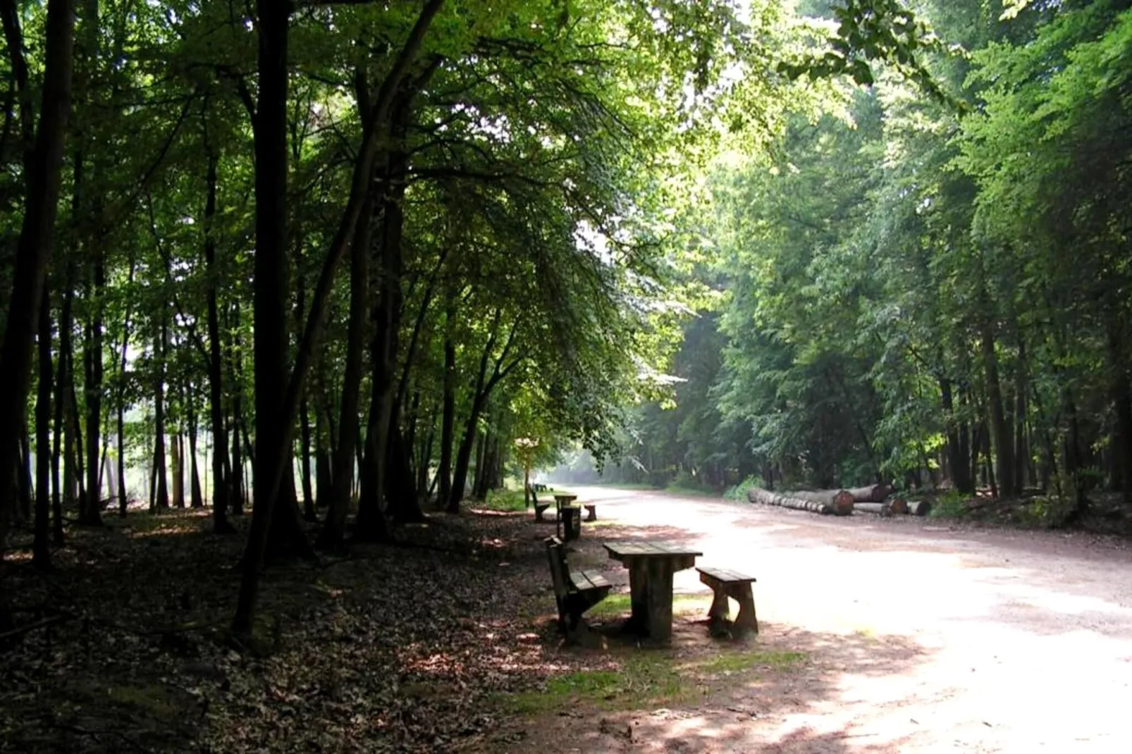 Cordelia Lodges-Areas within 5km in summer