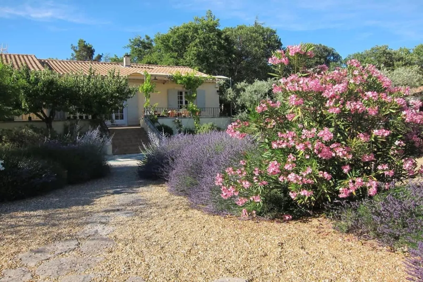 Studio Idéal pour des moments d'exceptions-Jardins en été