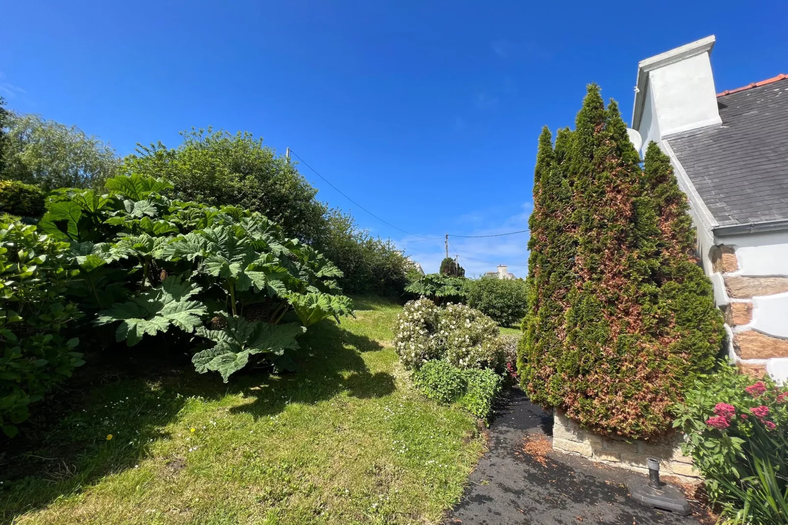 Ensemble de 2 maisons Plougasnou-Exterior summer