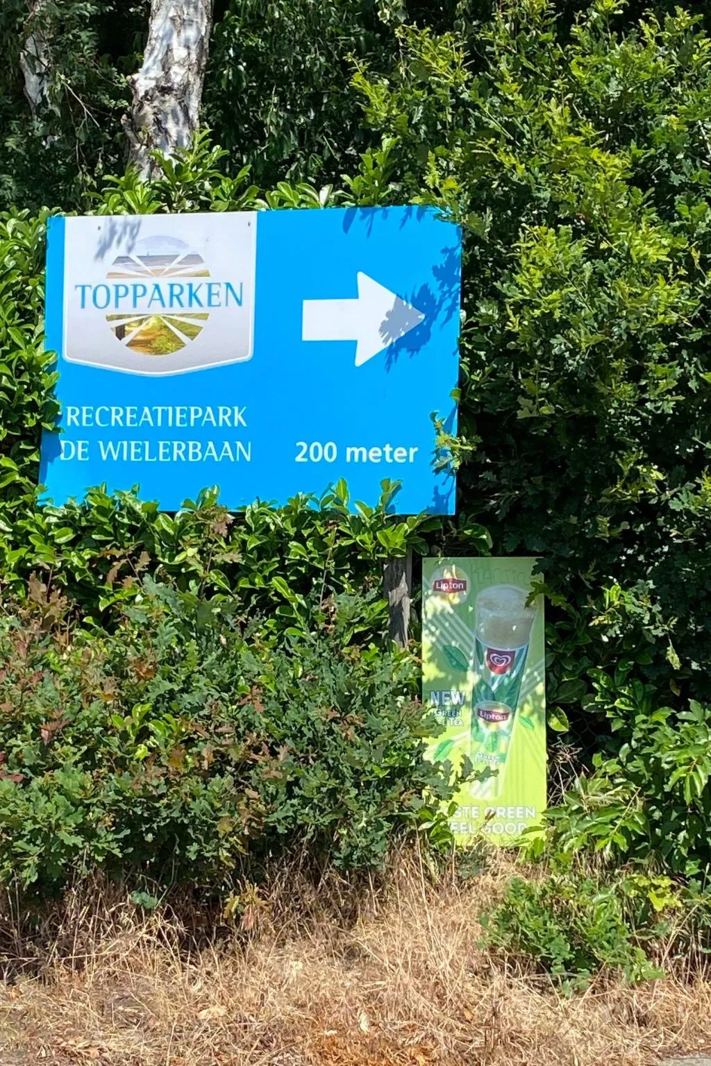 Ferien in Wageningen - Dedans