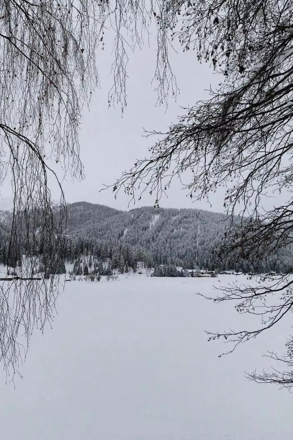 Residenz Davos von Swisspartments - Image-tags.info