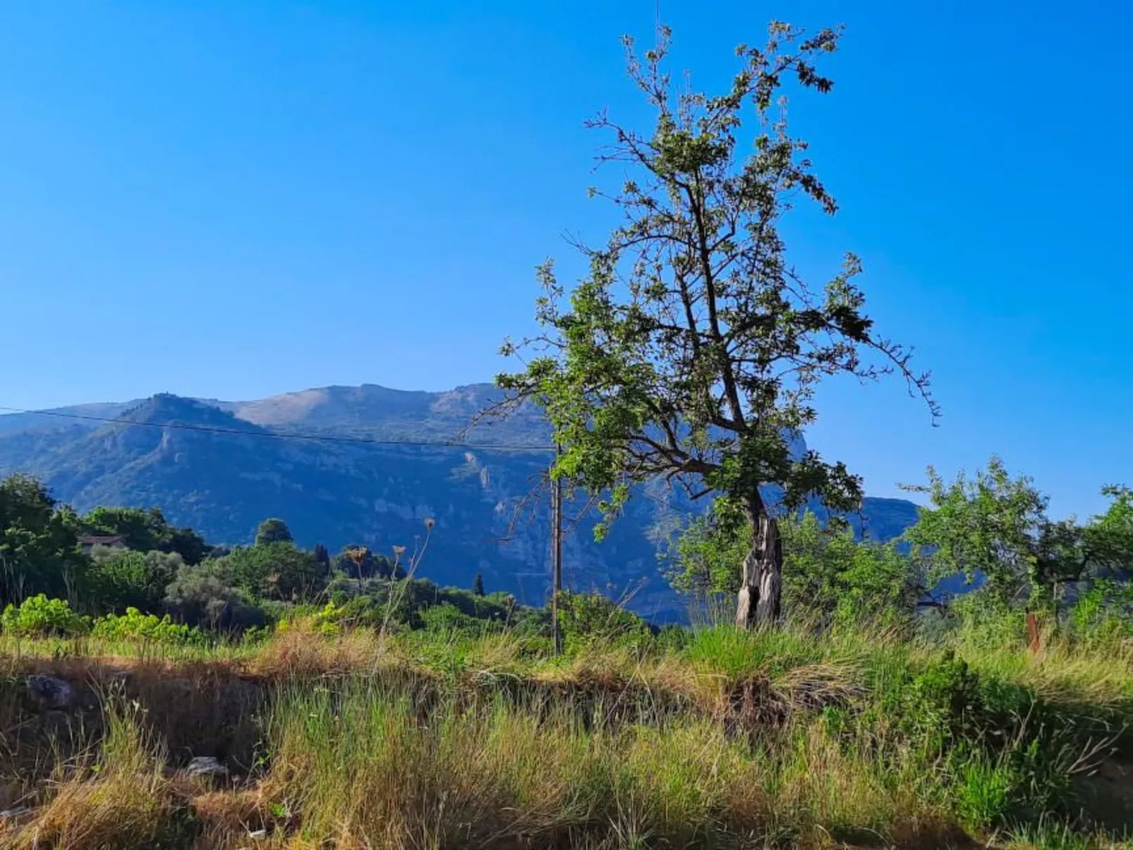 "Maison du Paysan" (Bauernhaus) - Image-tags.info