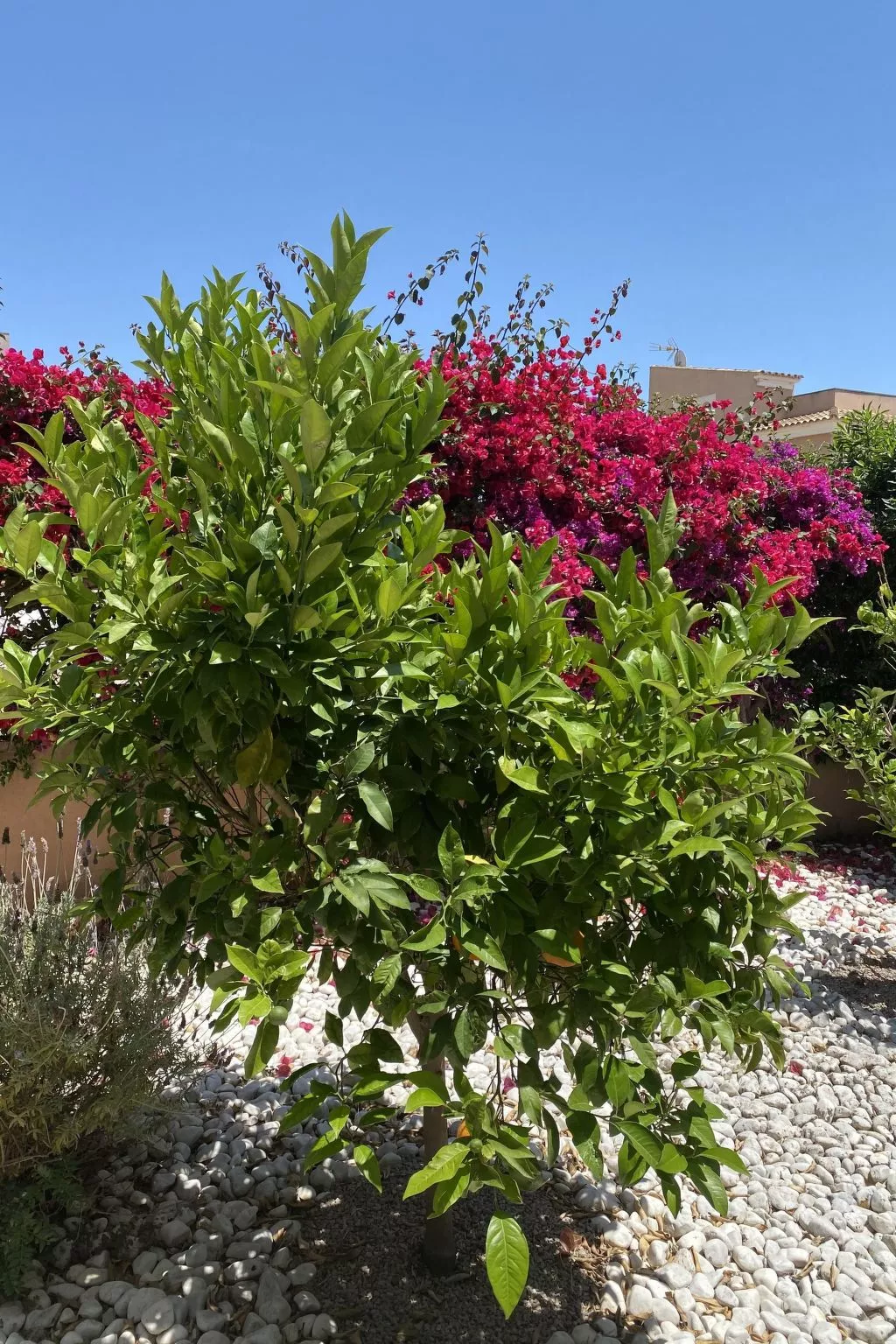 In Sa Ràpita mit Großer Terrasse - Image-tags.info