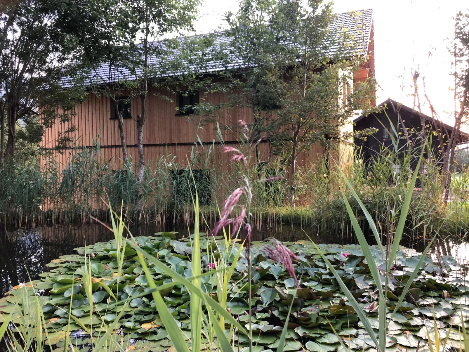 Tolle Wohnung in Bad Aussee mit Garten und Grill und Bergblick - Image-tags.info