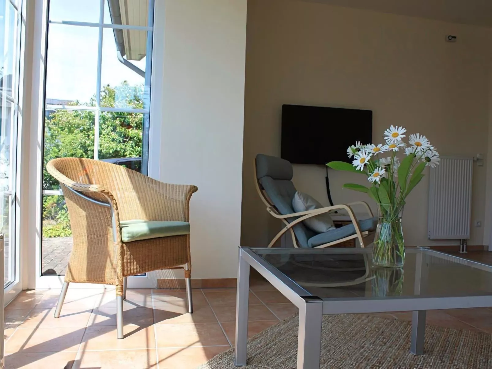 Sandregenpfeifer - Image-tags.info