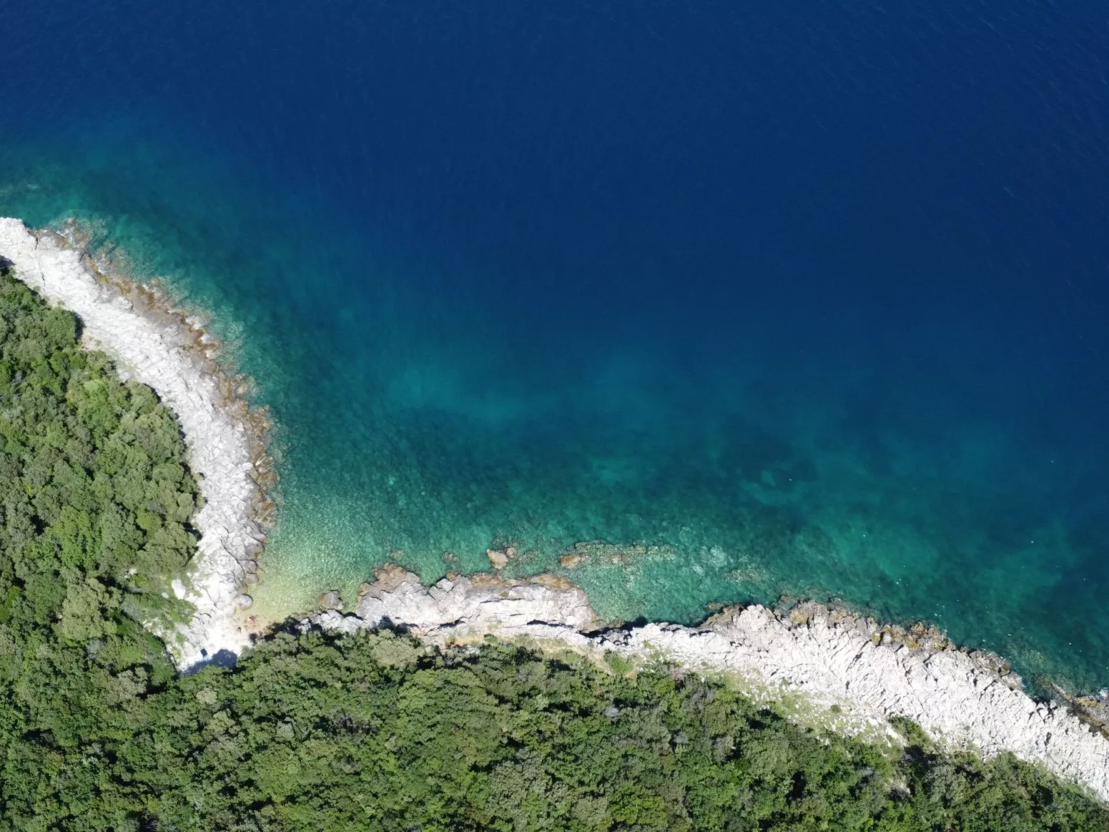 Luxury Seaview Apartment - Image-tags.info