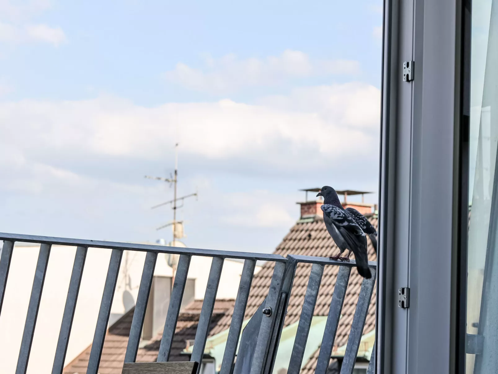 Munich Finest Apartments 17 - Draußen