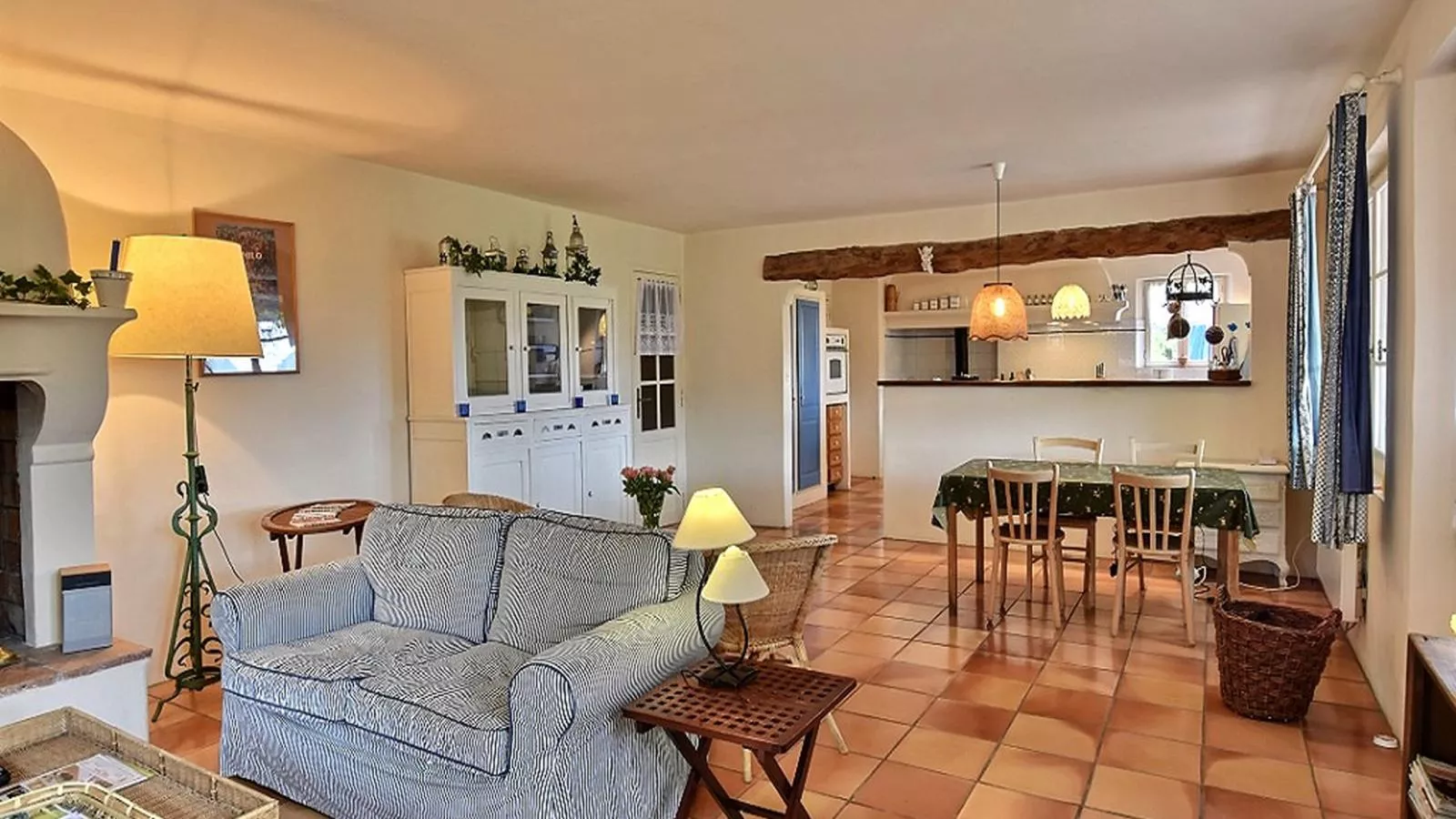 Lomandra - Living room