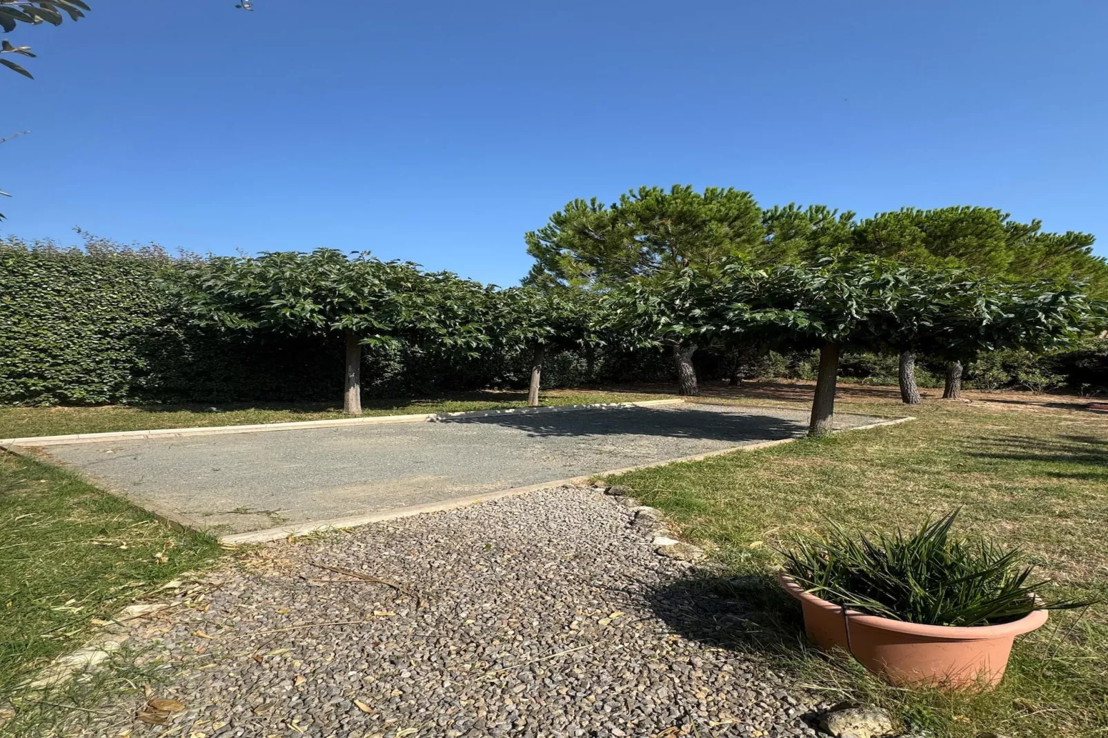 Villa l'Olivier-Garten Sommer