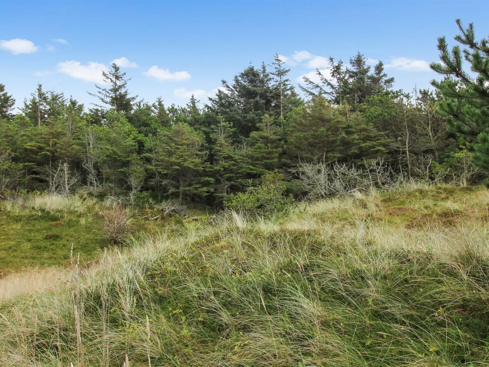 "Griselda" - 700m from the sea - Dehors