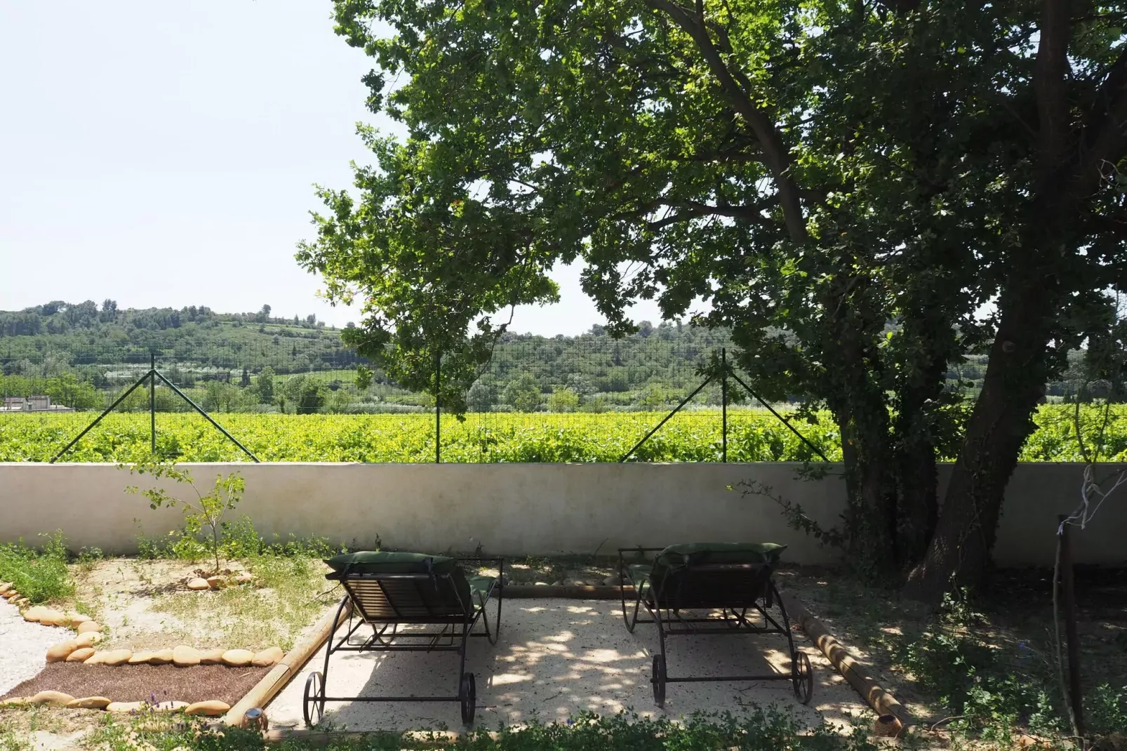 Ferienhaus in Domazan-View summer