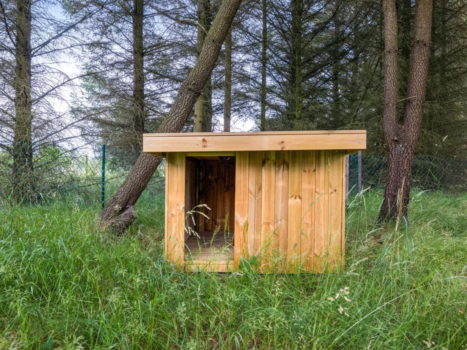 "Marlise" - 2.5km from the sea-Outside