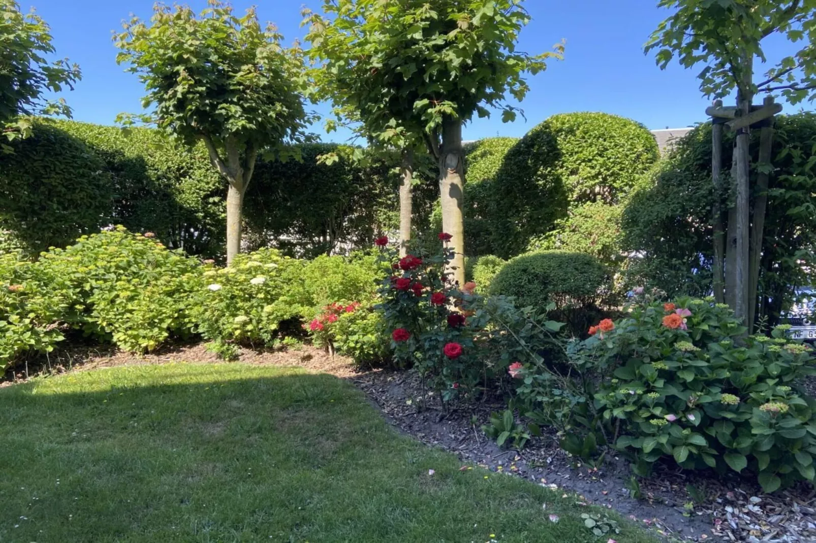 145755-Jardins en été