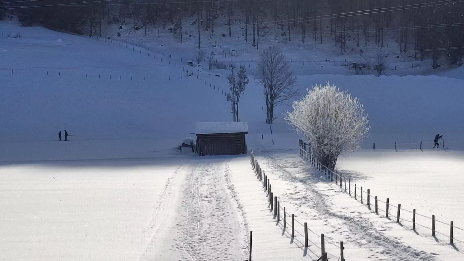 Joss-Gebiet Winter 1 km