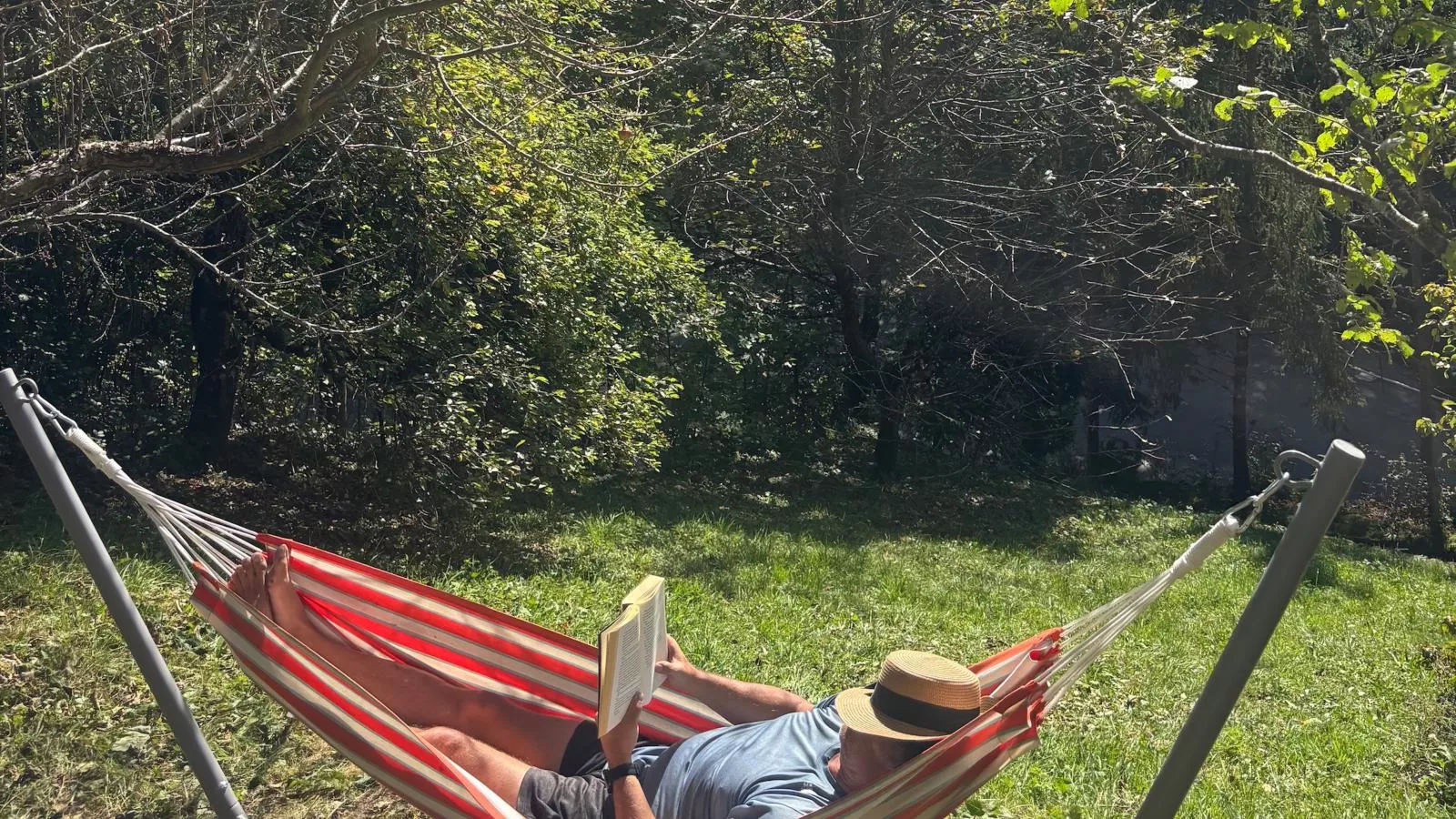 DAS Alpbach-Garten Sommer